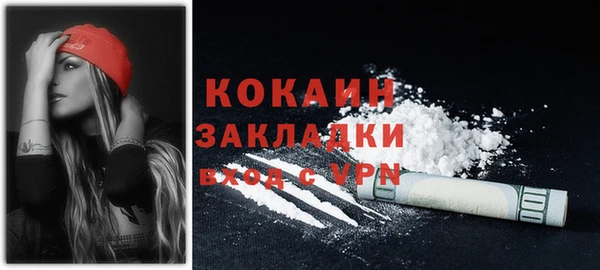 шишки Приозерск