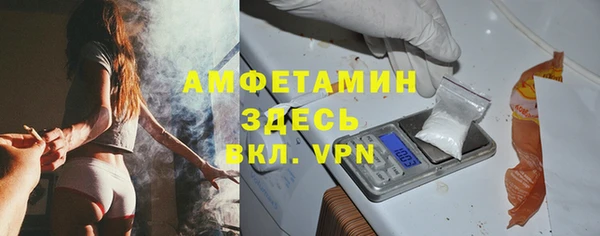 шишки Приозерск