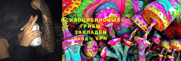 шишки Приозерск