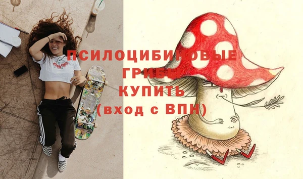 таблы Протвино