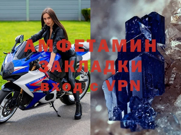 шишки Приозерск