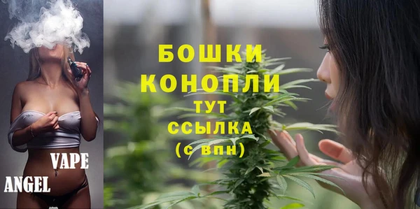 шишки Приозерск