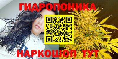 mdpv Обь