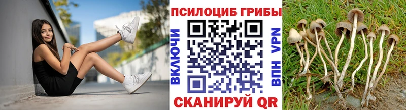 Псилоцибиновые грибы мухоморы  Сертолово 