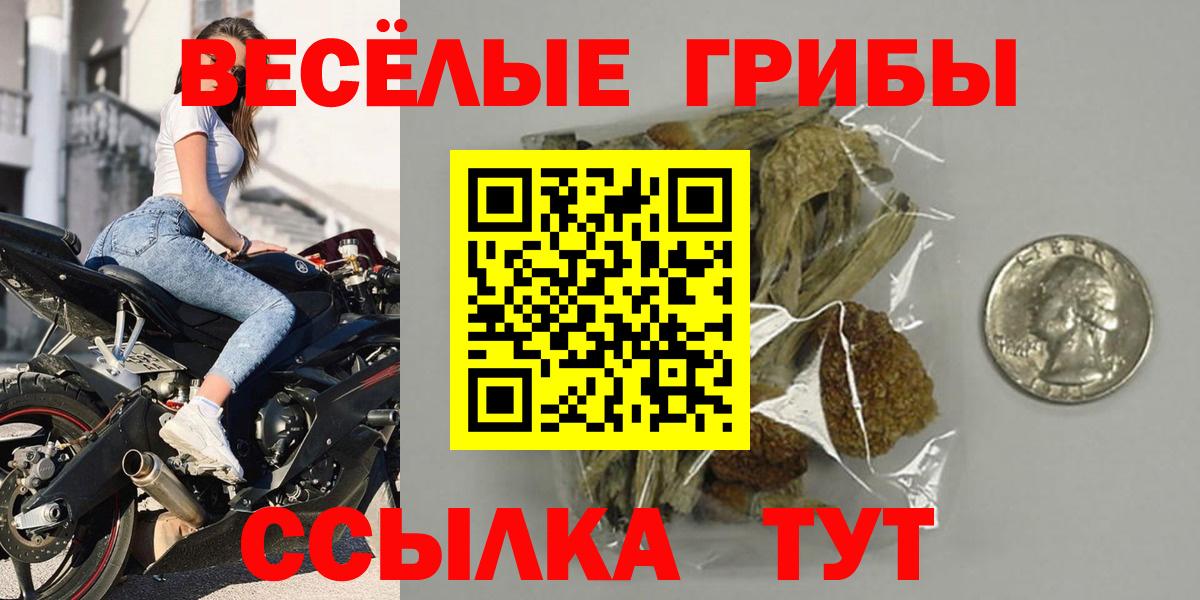 Галлюциногенные грибы мицелий  Вход с VPN  Сертолово 